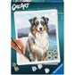 ravensburger-12023114-malen-nach-zahlen-777418B71.jpg