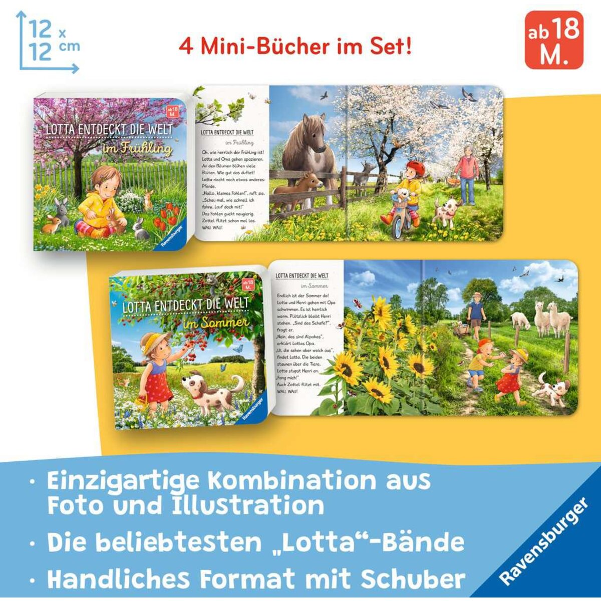 ravensburger-42110-lotta-entdeckt-die-31C9C2833.jpg