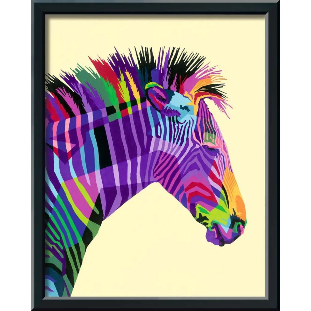 ravensburger-creart---funky-7AB6EC192.jpg