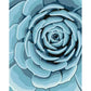 ravensburger-creart-botanical-blue--E502E6A02.jpg