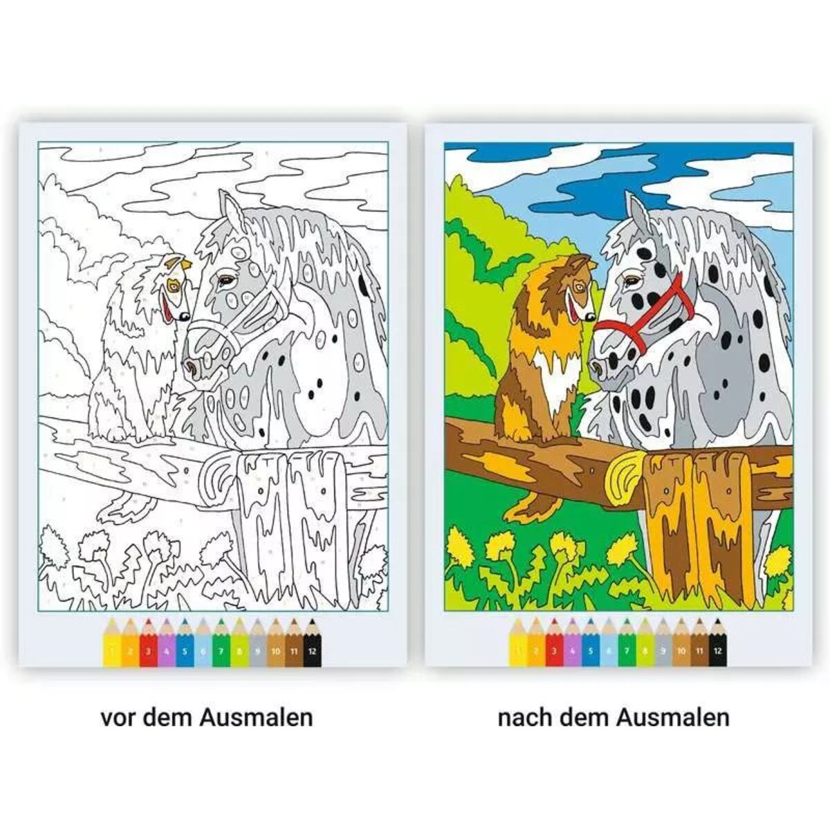 ravensburger-creart-malen-nach-zahlen-F7CC3CDC4.jpg