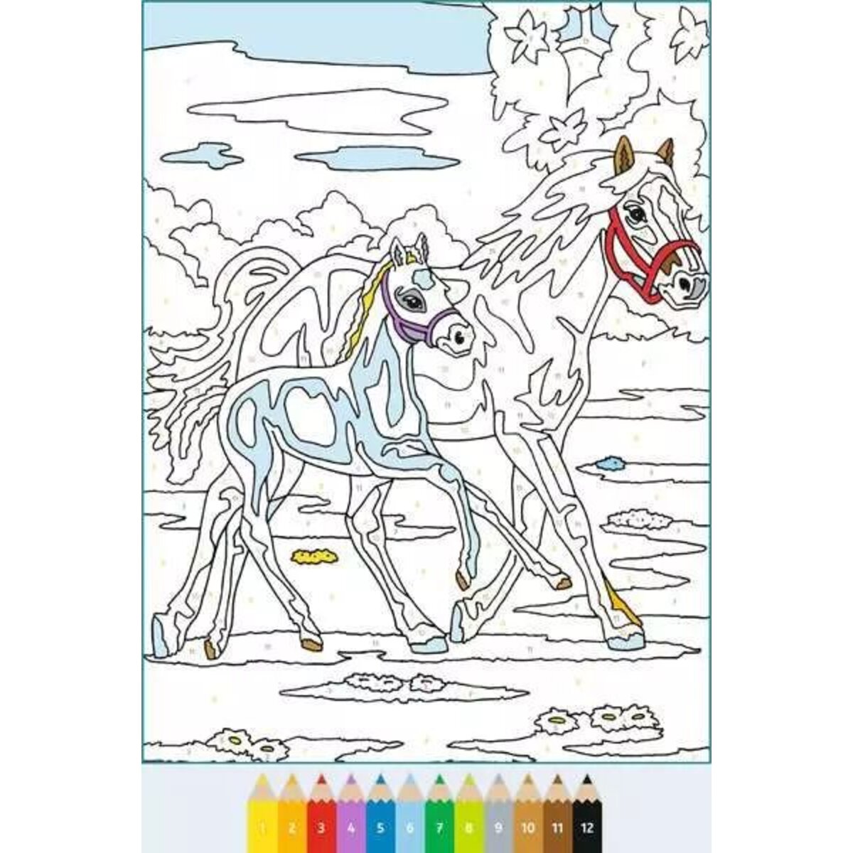 ravensburger-creart-malen-nach-zahlen-F7CC3CDC6.jpg