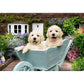 ravensburger-erwachsenenpuzzle-mit-200-xl-21633C1A2.jpg