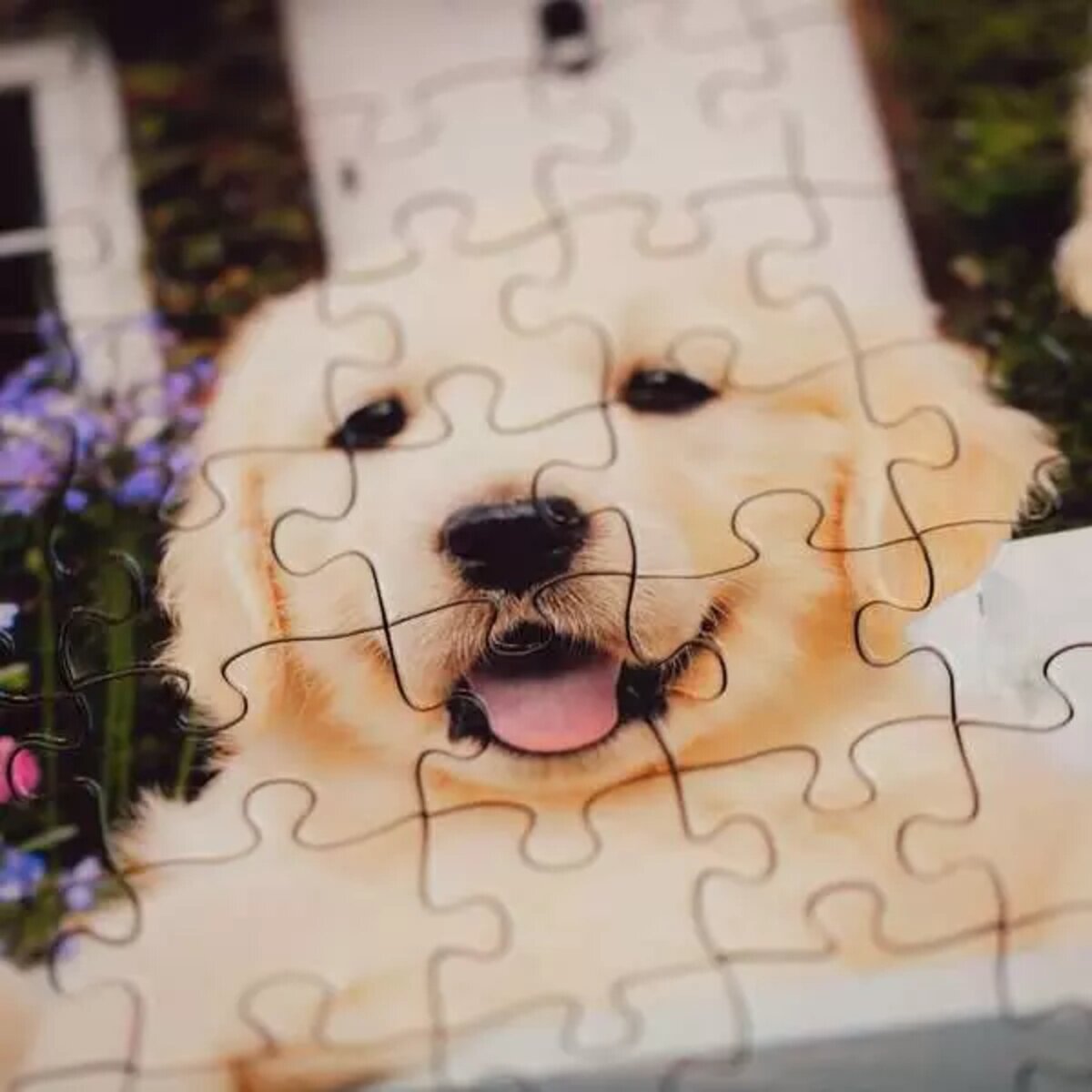 ravensburger-erwachsenenpuzzle-mit-200-xl-21633C1A4.jpg