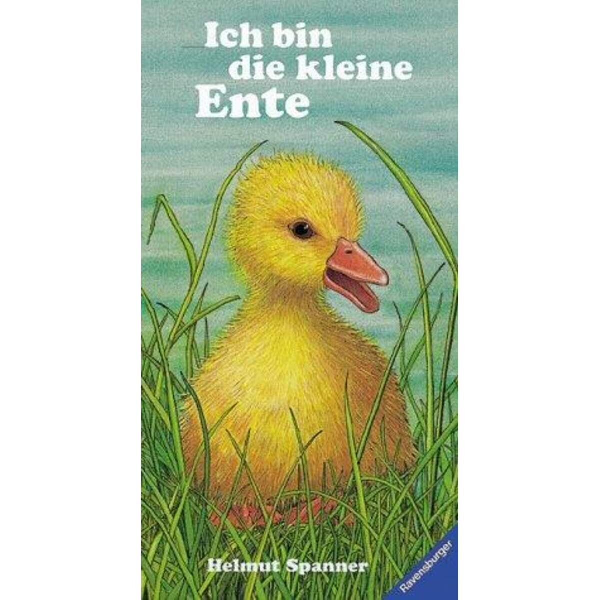 ravensburger-ich-bin-die-kleine-145C571A1.jpg