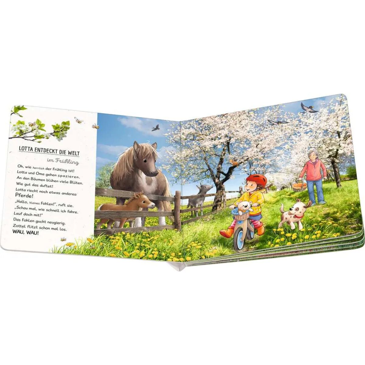 ravensburger-lotta-entdeckt-die-welt-3B19D1164.jpg