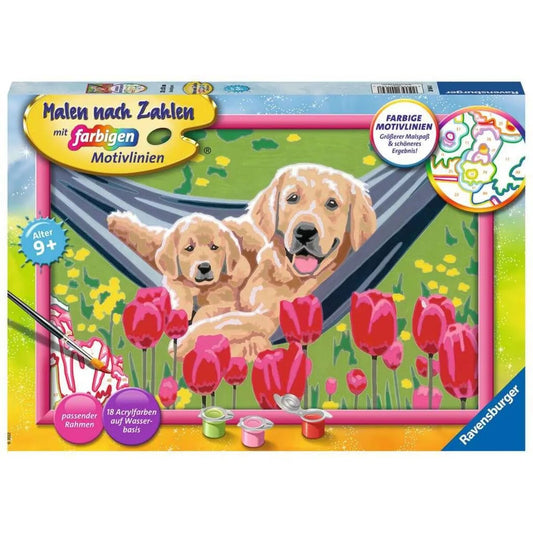 ravensburger-malen-nach-zahlen--9C20F07A1.jpg