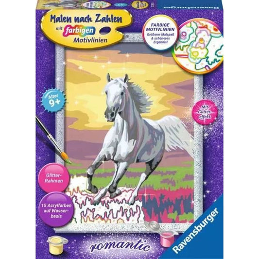 ravensburger-malen-nach-zahlen--D9954A1D1.jpg