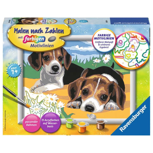 ravensburger-malen-nach-zahlen-jack-8EB464621.jpg