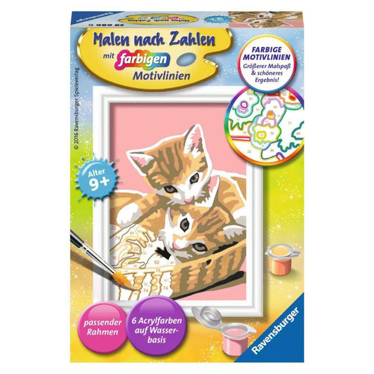 ravensburger-malen-nach-zahlen-katzenbabys-DFC2C6581.jpg