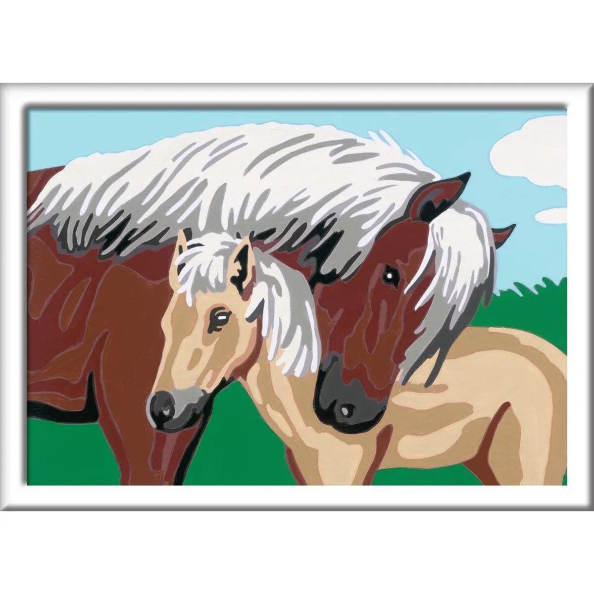 ravensburger-malen-nach-zahlen-liebevolle-DAFC05672.jpg
