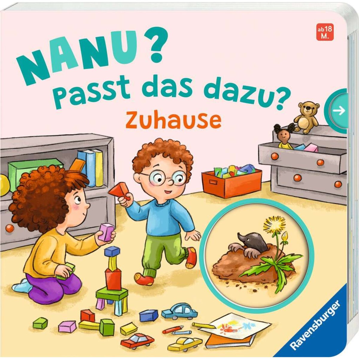 Ravensburger Nanu? Passt das dazu? Zuhause