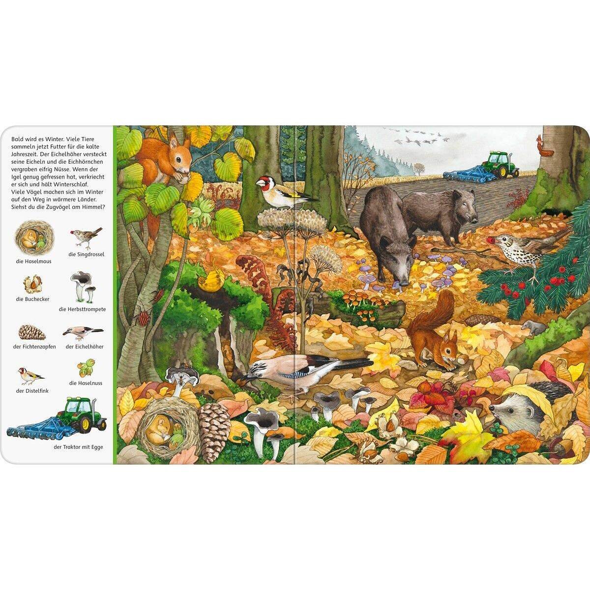 ravensburger-pappbilderbuch---mein-425969414.jpg