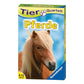 ravensburger-pferde-quartett-D84F61CB1.jpg