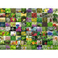 Ravensburger Puzzle - 99 Kräuter und Gewürze, 1000 Teile