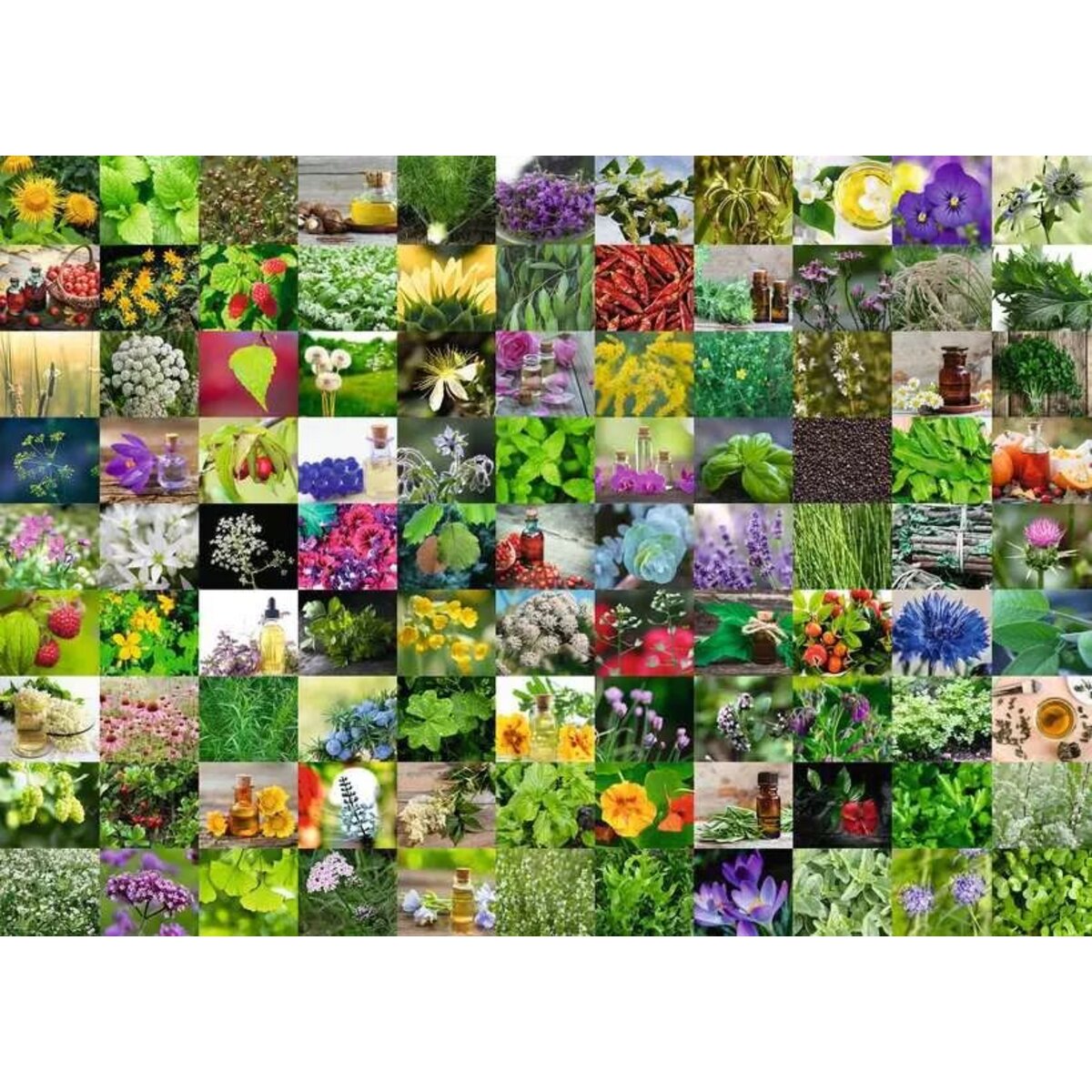 Ravensburger Puzzle - 99 Kräuter und Gewürze, 1000 Teile