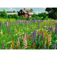 ravensburger-puzzle---bauernhof-B59C74D72.jpg
