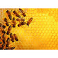 Ravensburger Puzzle - Bienen, 1000 Teile