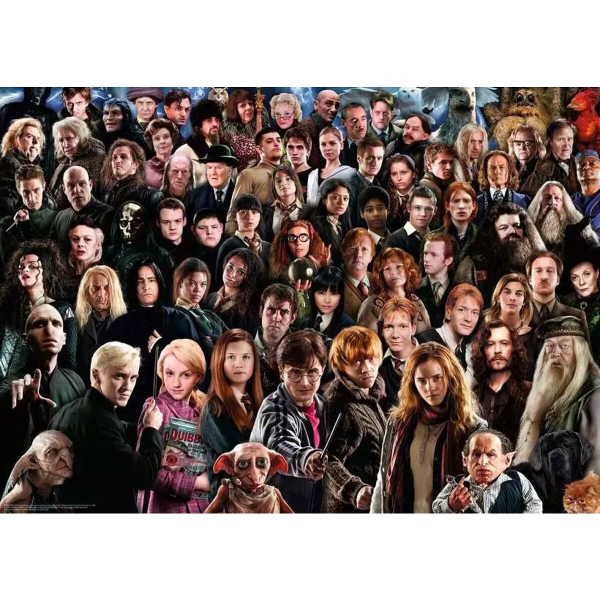 Ravensburger Puzzle Challenge - Harry Potter, 1000 Teile
