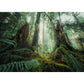 ravensburger-puzzle---faszinierender-B855740E2.jpg