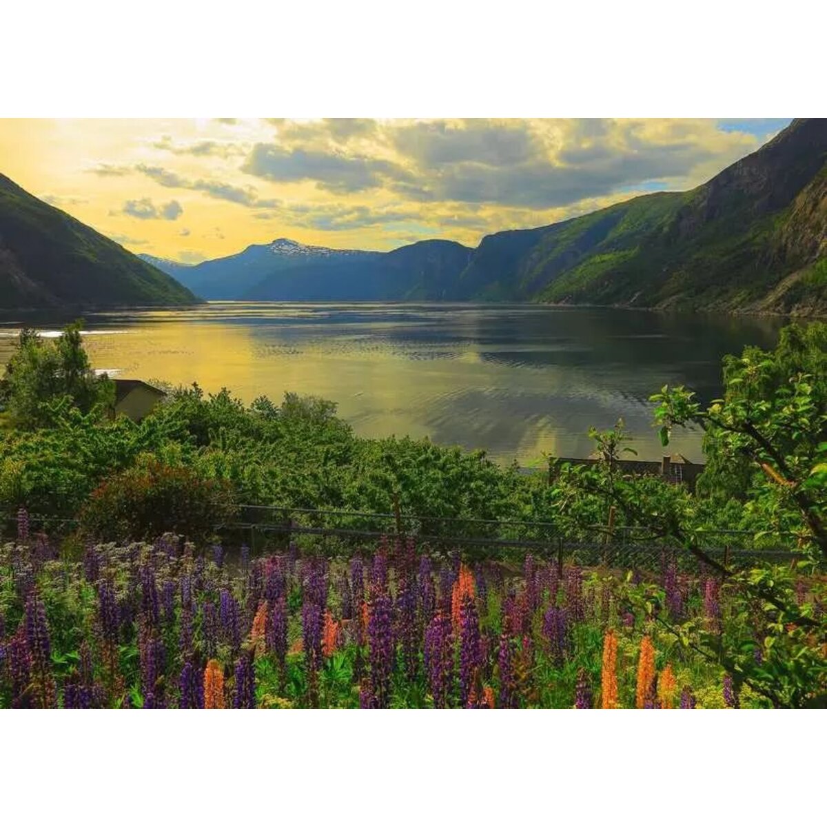 Ravensburger Puzzle - Fjord in Norwegen, 1000 Teile