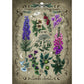 Ravensburger Puzzle - Giftpflanzen, 1000 Teile