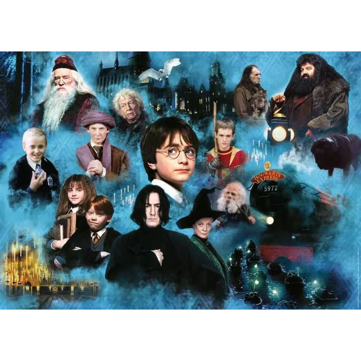 Ravensburger Puzzle - Harry Potters magische Welt, 1000 Teile