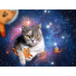 ravensburger-puzzle---katzen-68DEF6092.jpg