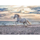 Ravensburger Puzzle - Pferd am Strand, 500 Teile