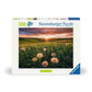 Ravensburger Puzzle - Pusteblumen im Sonnenuntergang, 1000 Teile