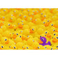 Ravensburger Puzzle - Quietscheenten, 1000 Teile