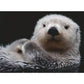 Ravensburger Puzzle - Süßer kleiner Otter, 500 Teile