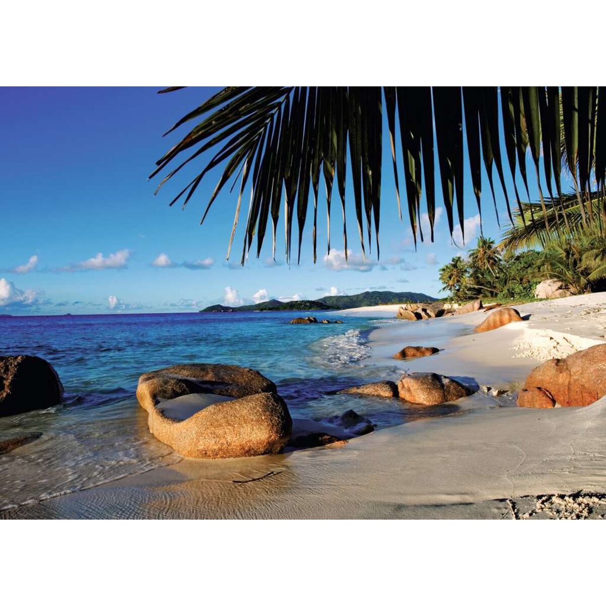 ravensburger-puzzle---unter-BD1C80F52.jpg