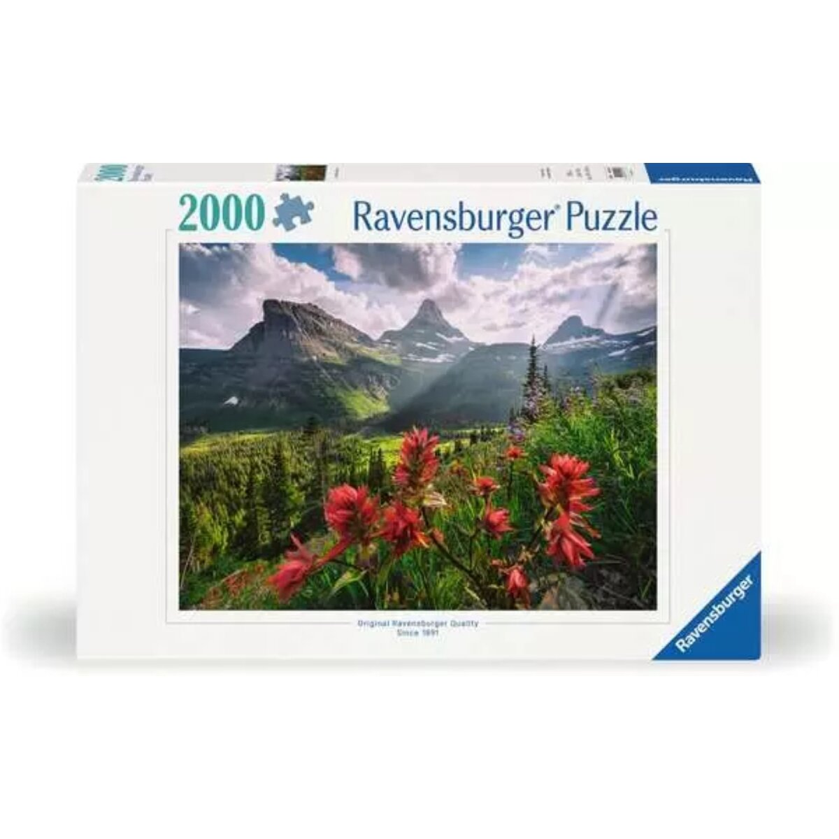ravensburger-puzzle-2000-teile-cumulus-C64FE3BB1.jpg