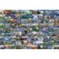 ravensburger-puzzle-9-beautiful-places-F4D1AC7A2.jpg