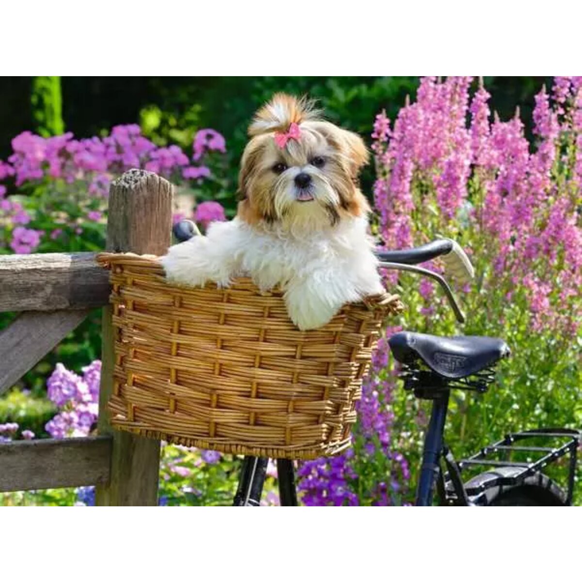 ravensburger-puzzle-suesser-kleiner-hund-5ABD42C92.jpg