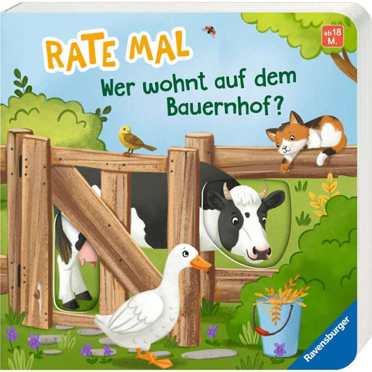 ravensburger-rate-mal-wer-wohnt-D8154CE71.jpg