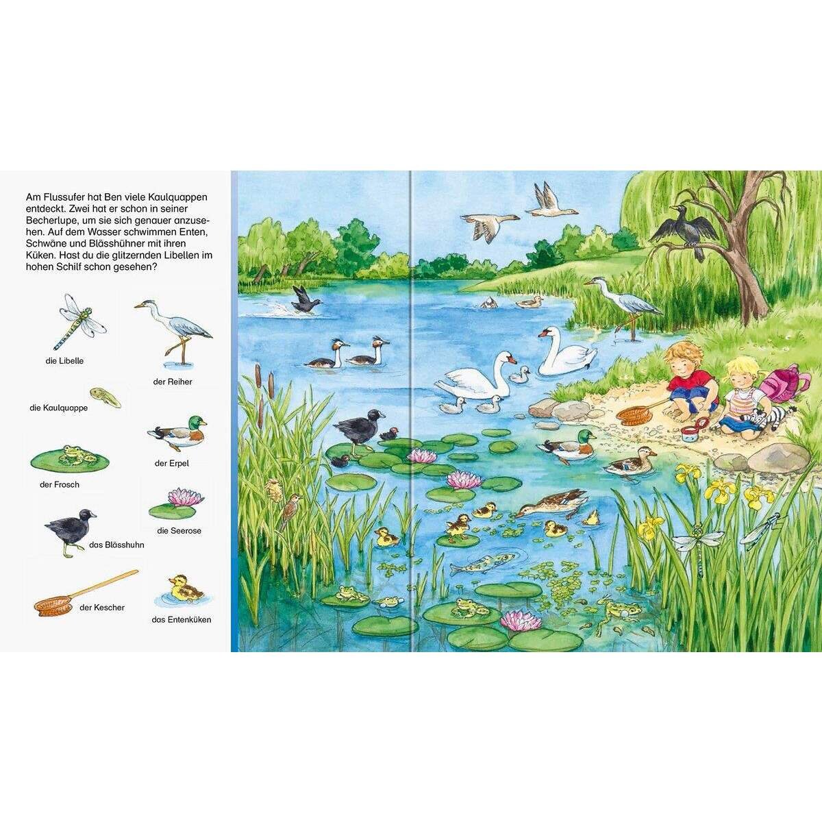 ravensburger-sachen-suchen---0436C2CE4.jpg