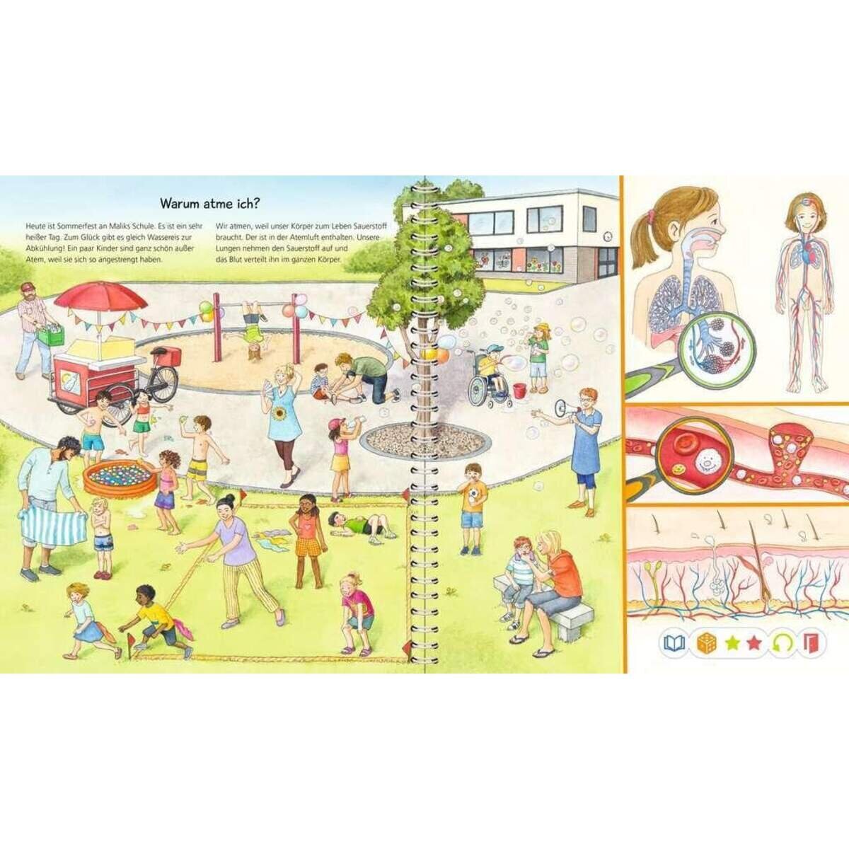ravensburger-tiptoi-wieso-weshalb-warum-219EB5742.jpg