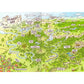 ravensburger-unterholz-ninjas-band-1-A54E49883.jpg