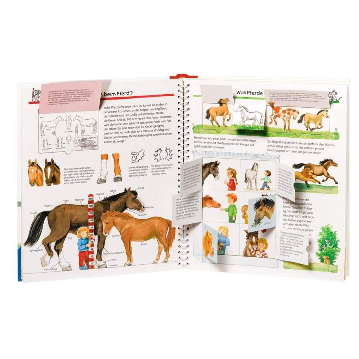 ravensburger-wieso-weshalb-warum-21-4E9B61252.jpg