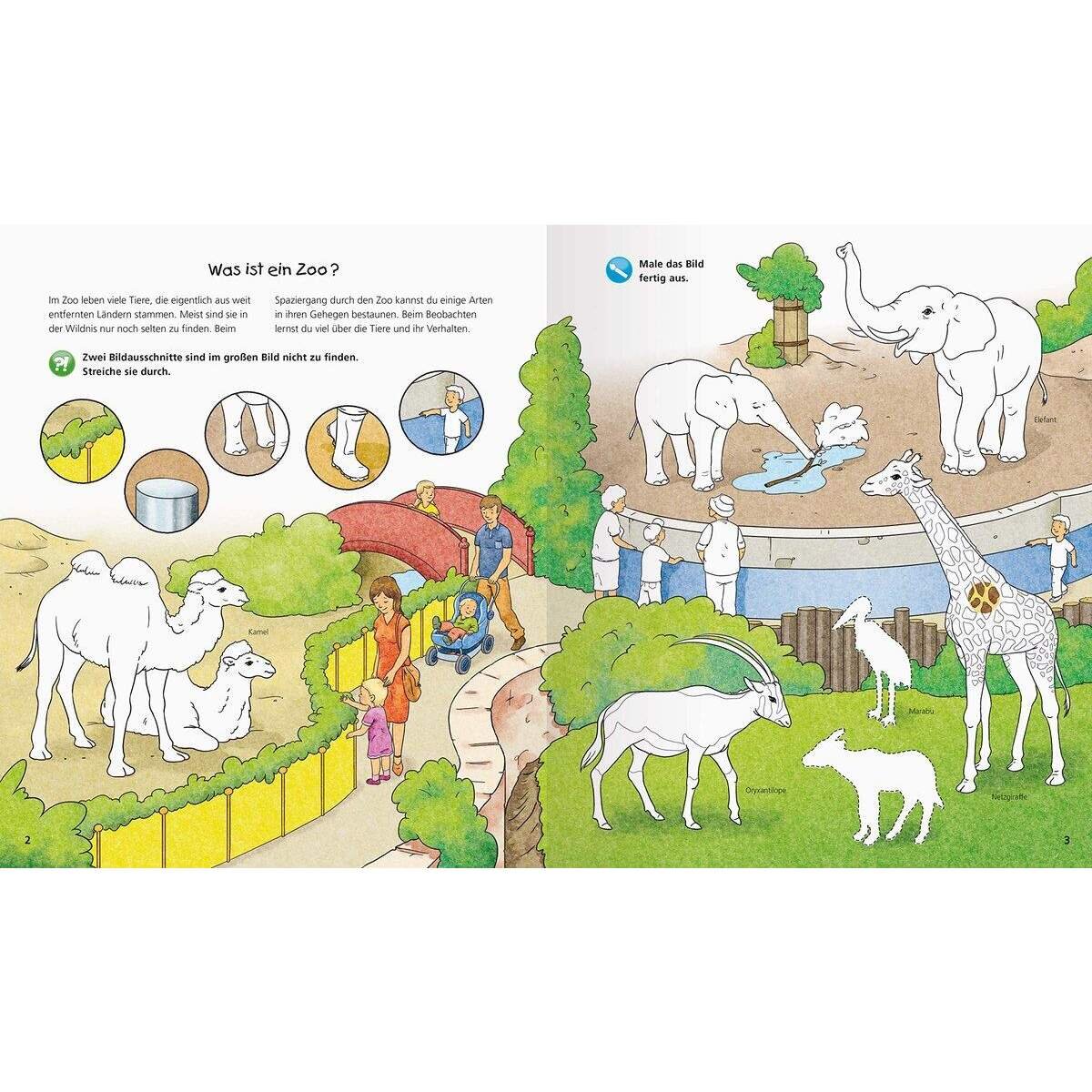 ravensburger-wieso-weshalb-warum-aktiv-5B143C0B4.jpg
