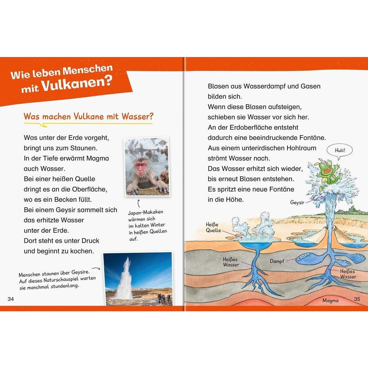 ravensburger-wieso-weshalb-warum-erstleser-6D883DD32.jpg