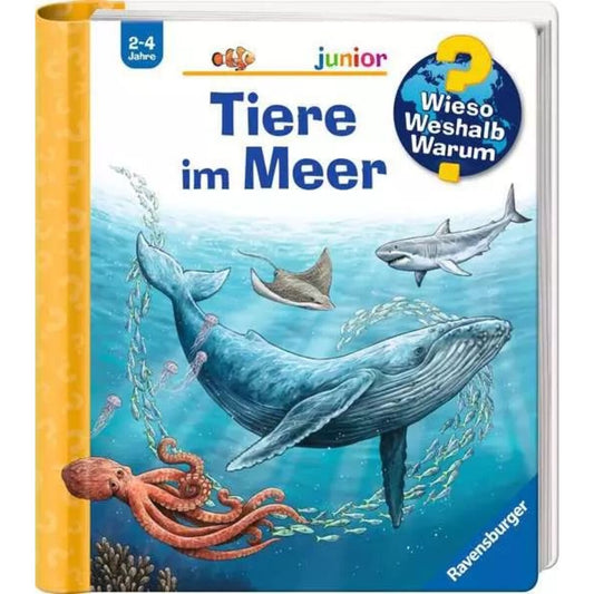 ravensburger-wieso-weshalb-warum-junior-5DAD2CC21.jpg