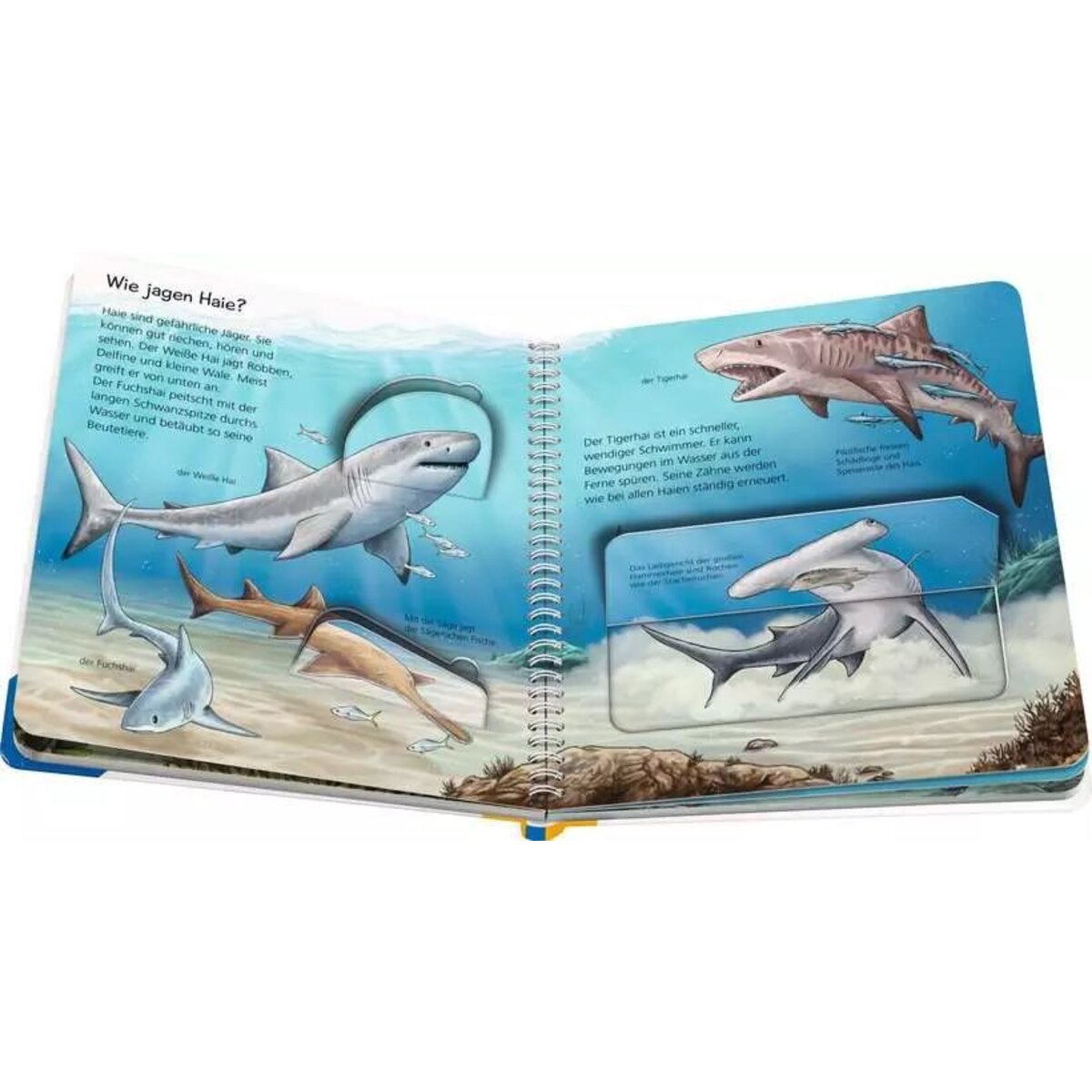 Ravensburger Wieso? Weshalb? Warum? junior, Band 57:  Tiere im Meer