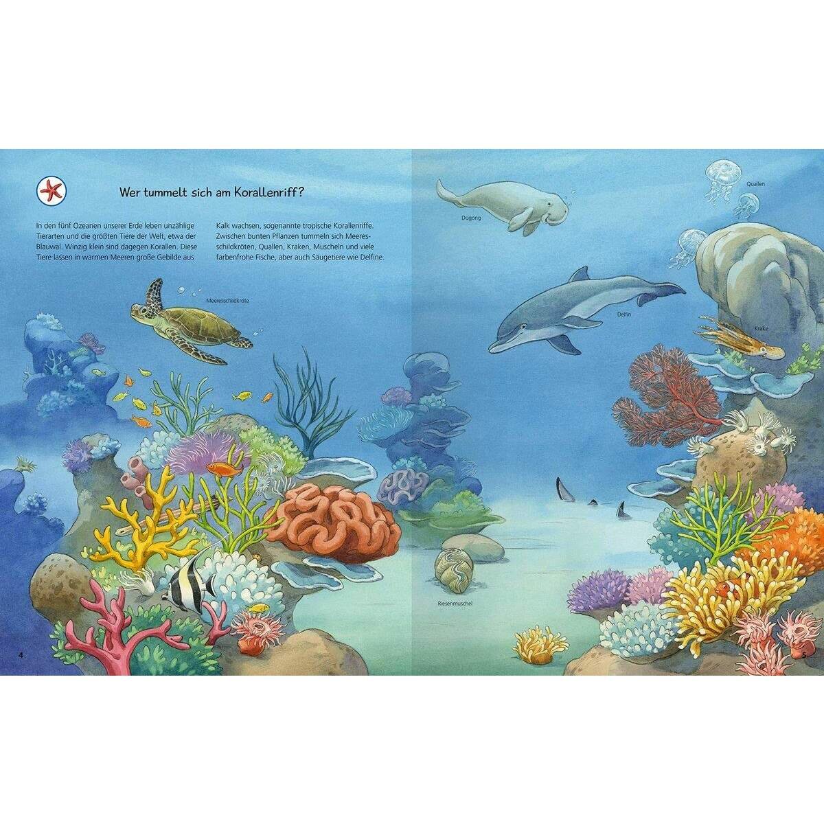 ravensburger-wieso-weshalb-warum-tiere-BAA00B643.jpg