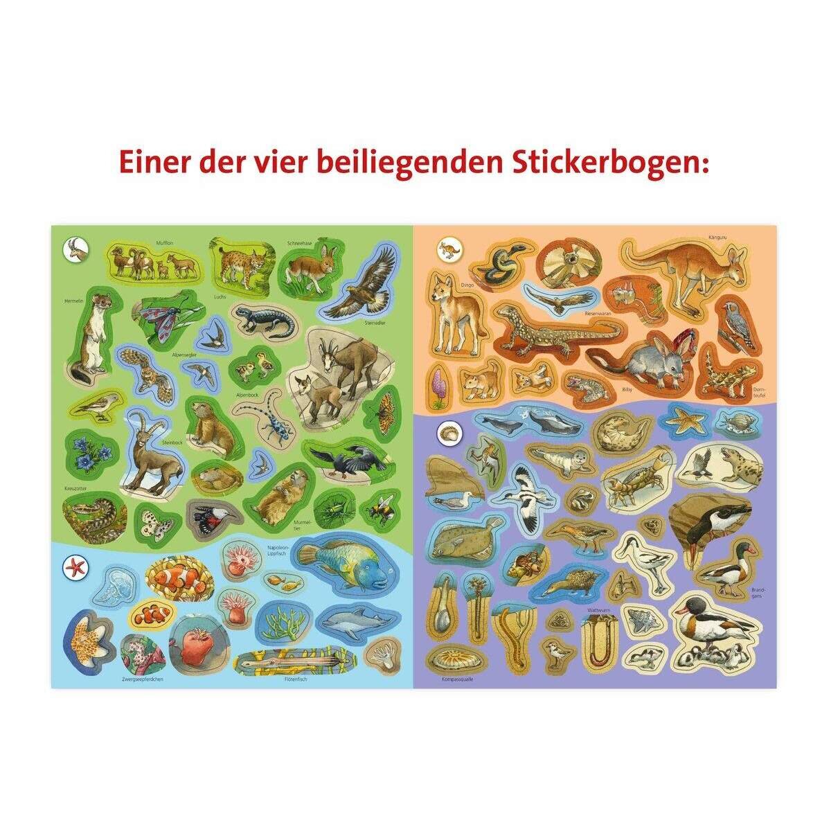 ravensburger-wieso-weshalb-warum-tiere-BAA00B645.jpg