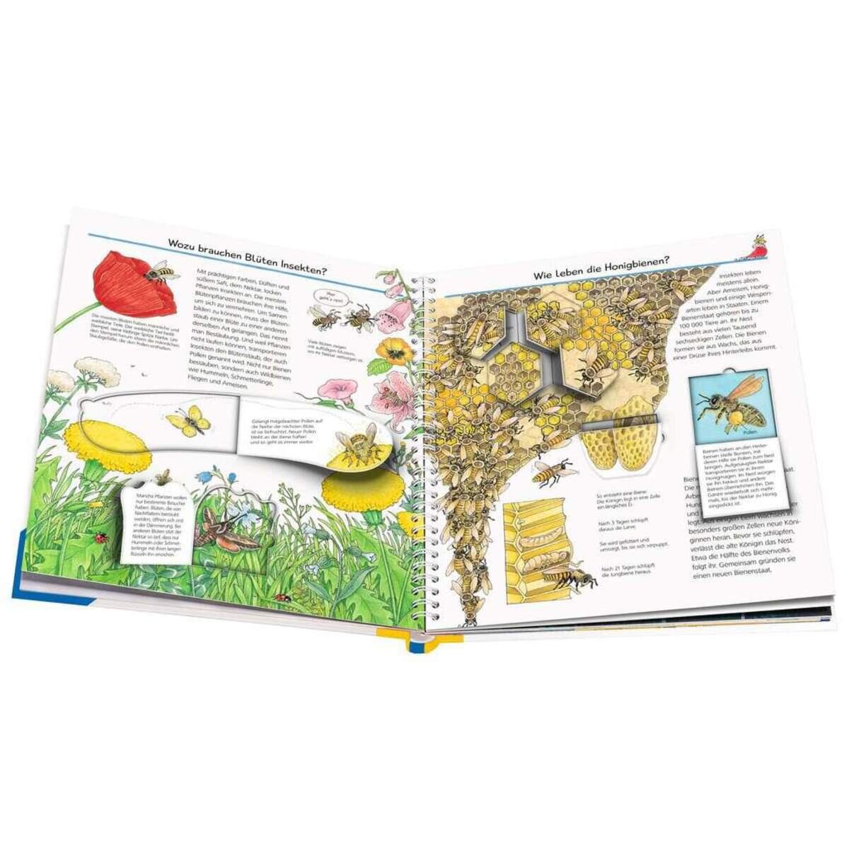 ravensburger-wieso-weshalb-warum-wir-048207242.jpg