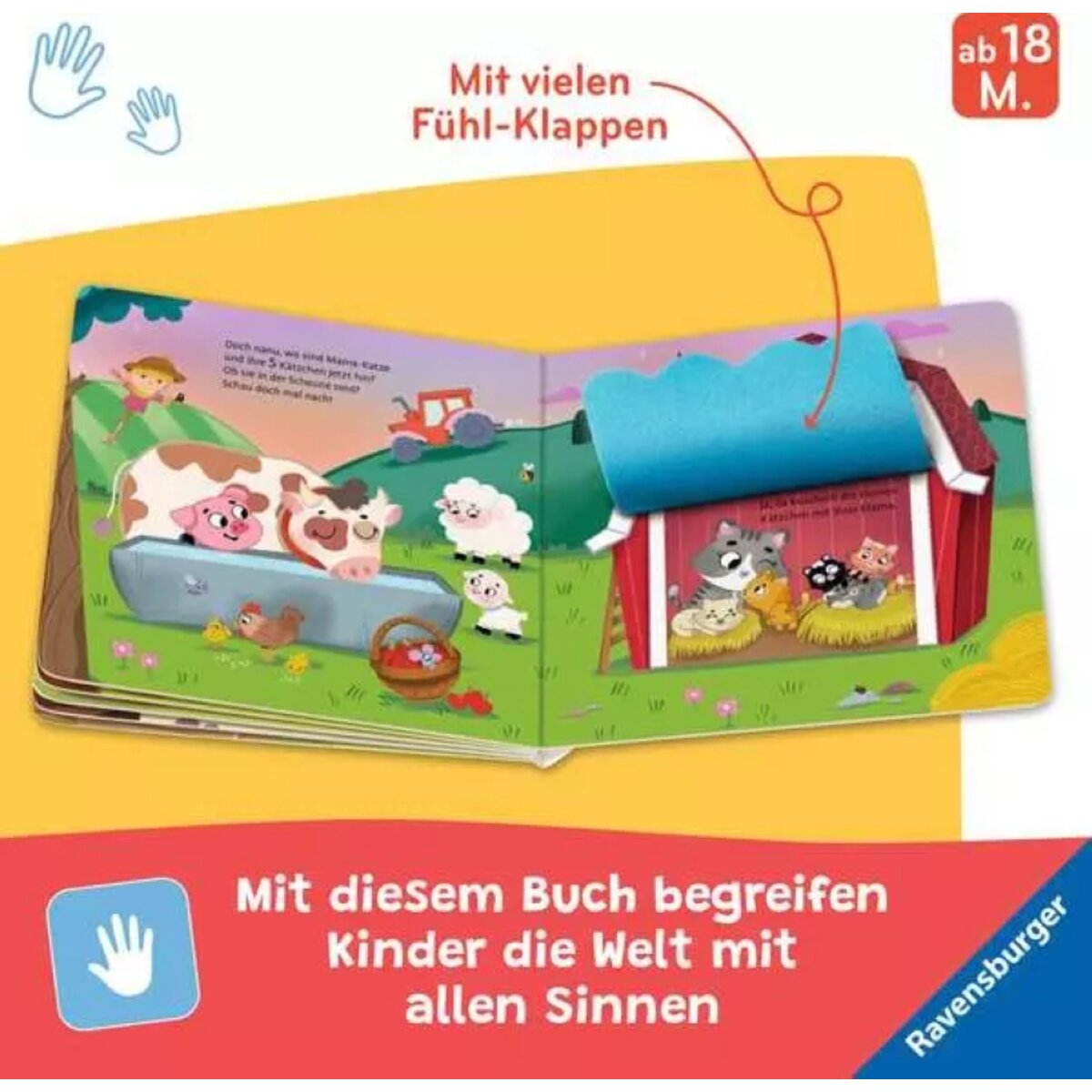 Ravensburger Kinderbuch Wo seid ihr kleine Kätzchen?