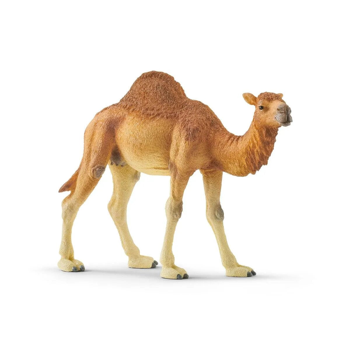 schleich-14832-wild-life-dromedar-7C96D1F91.jpg